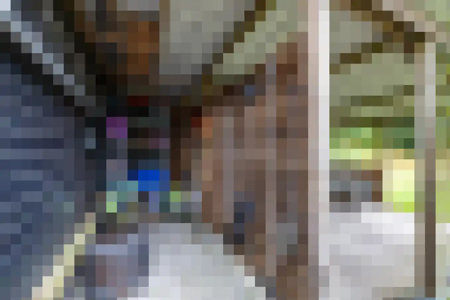 Veenweg 3 Vries thumbnail 70
