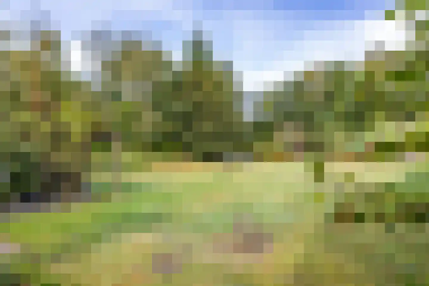Veenweg 3 Vries thumbnail 71