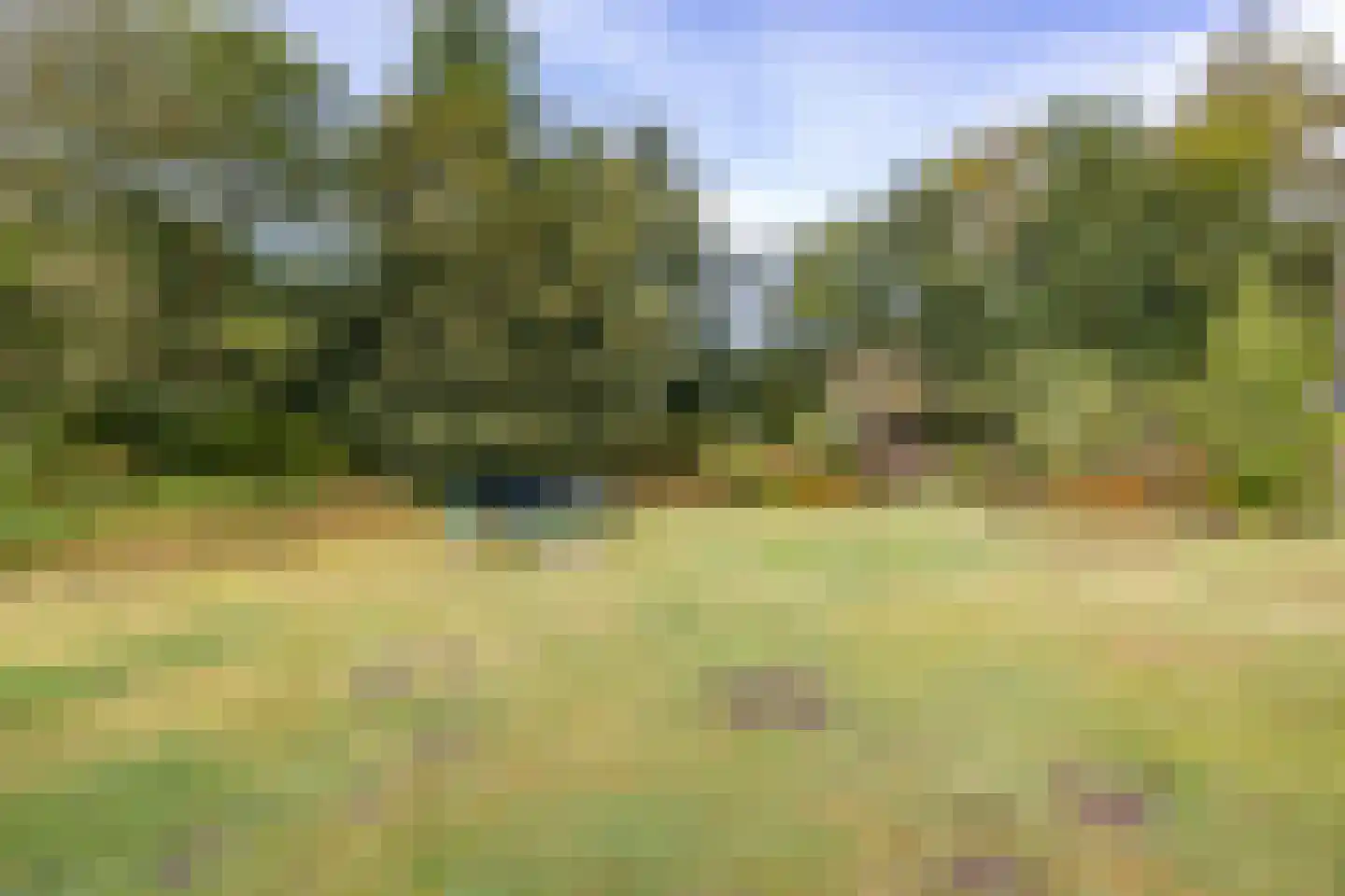 Veenweg 3 Vries thumbnail 72
