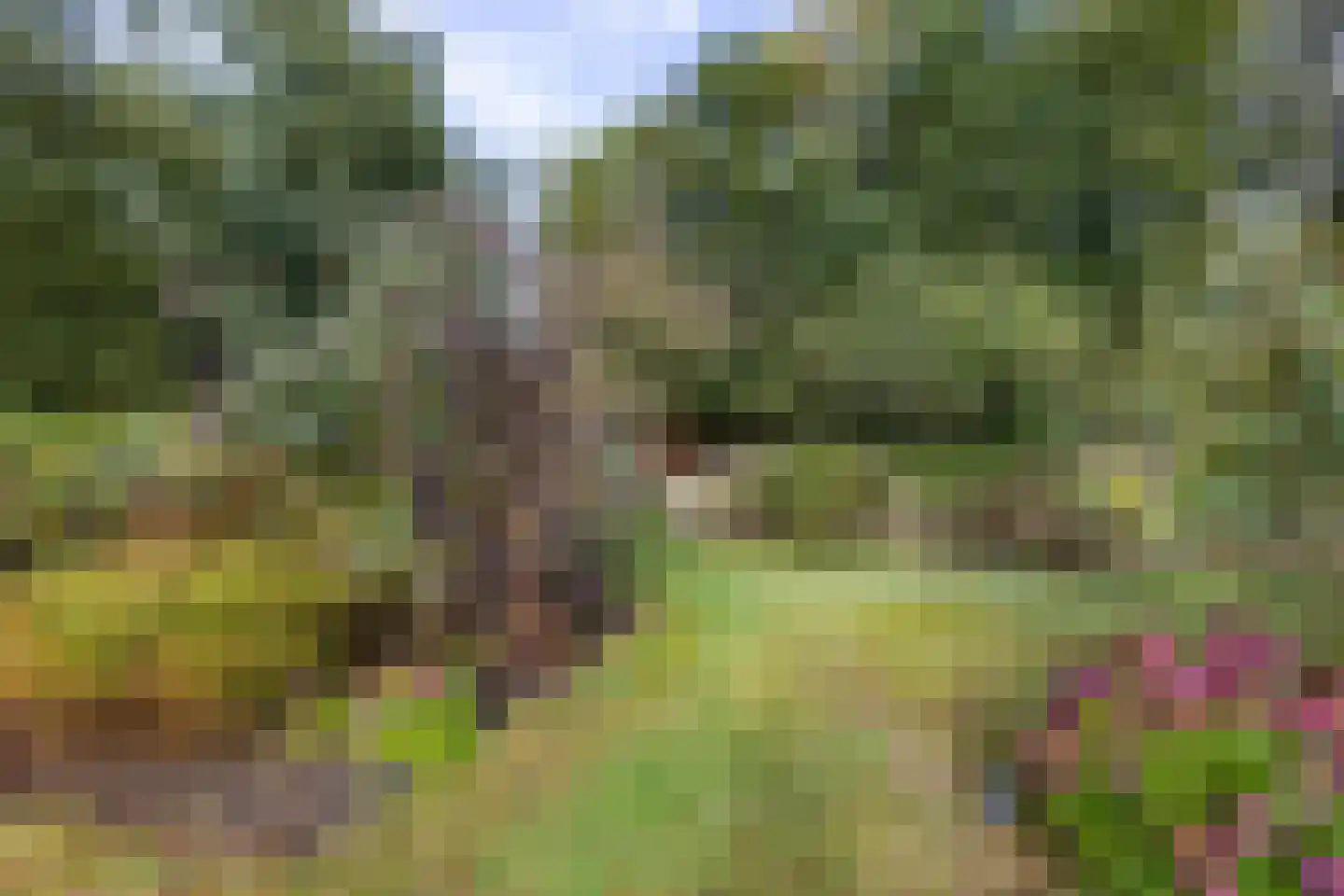 Veenweg 3 Vries thumbnail 73