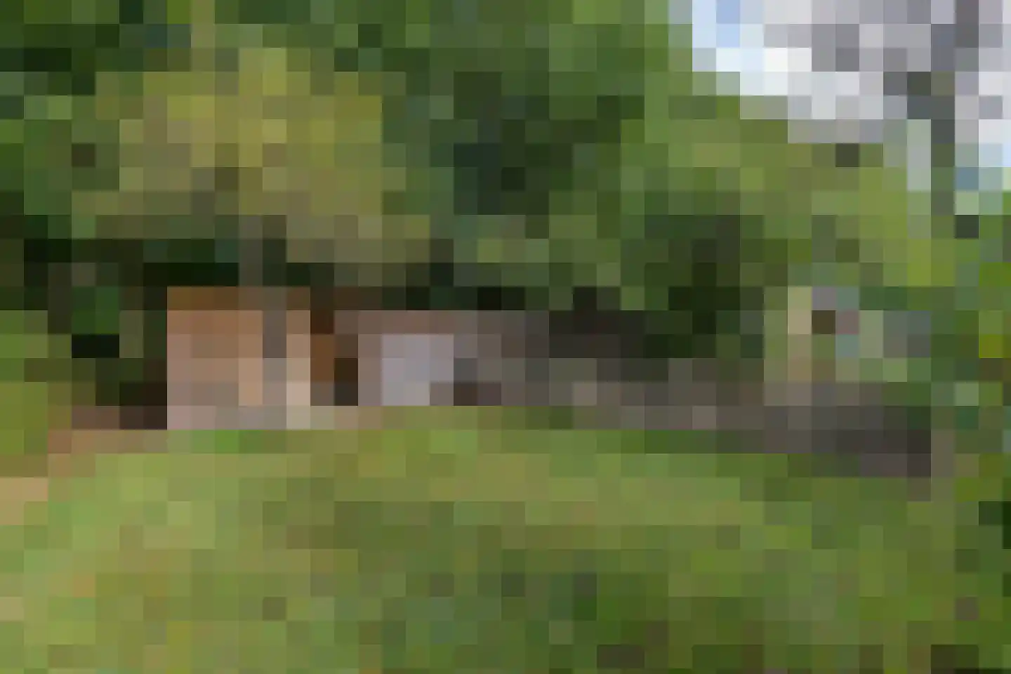 Veenweg 3 Vries thumbnail 74