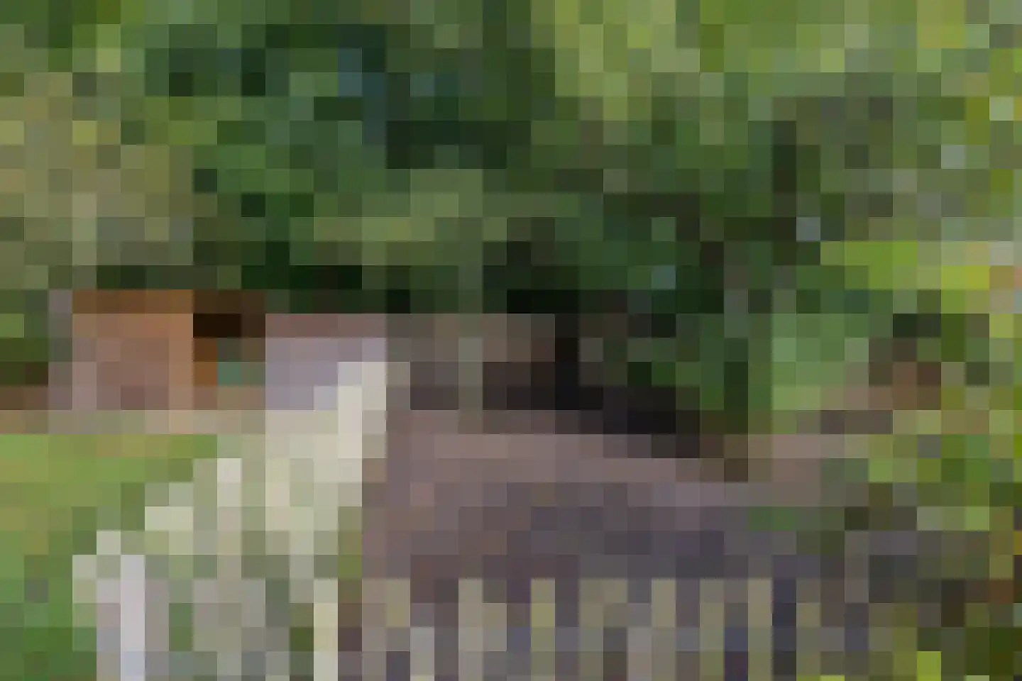 Veenweg 3 Vries thumbnail 75