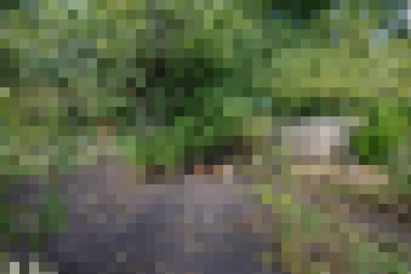 Veenweg 3 Vries thumbnail 76