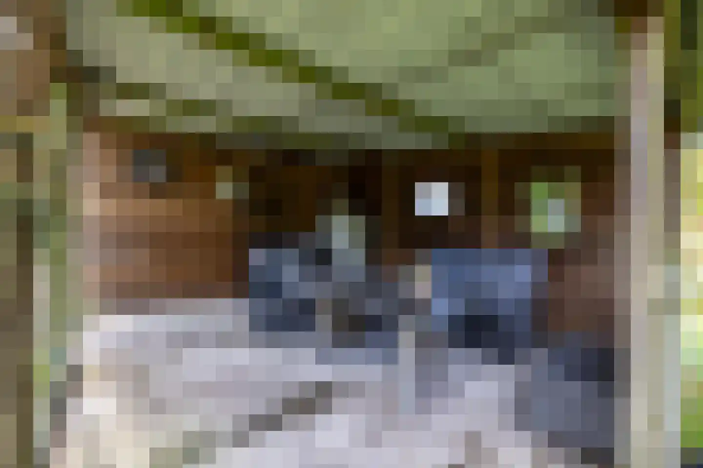 Veenweg 3 Vries thumbnail 80