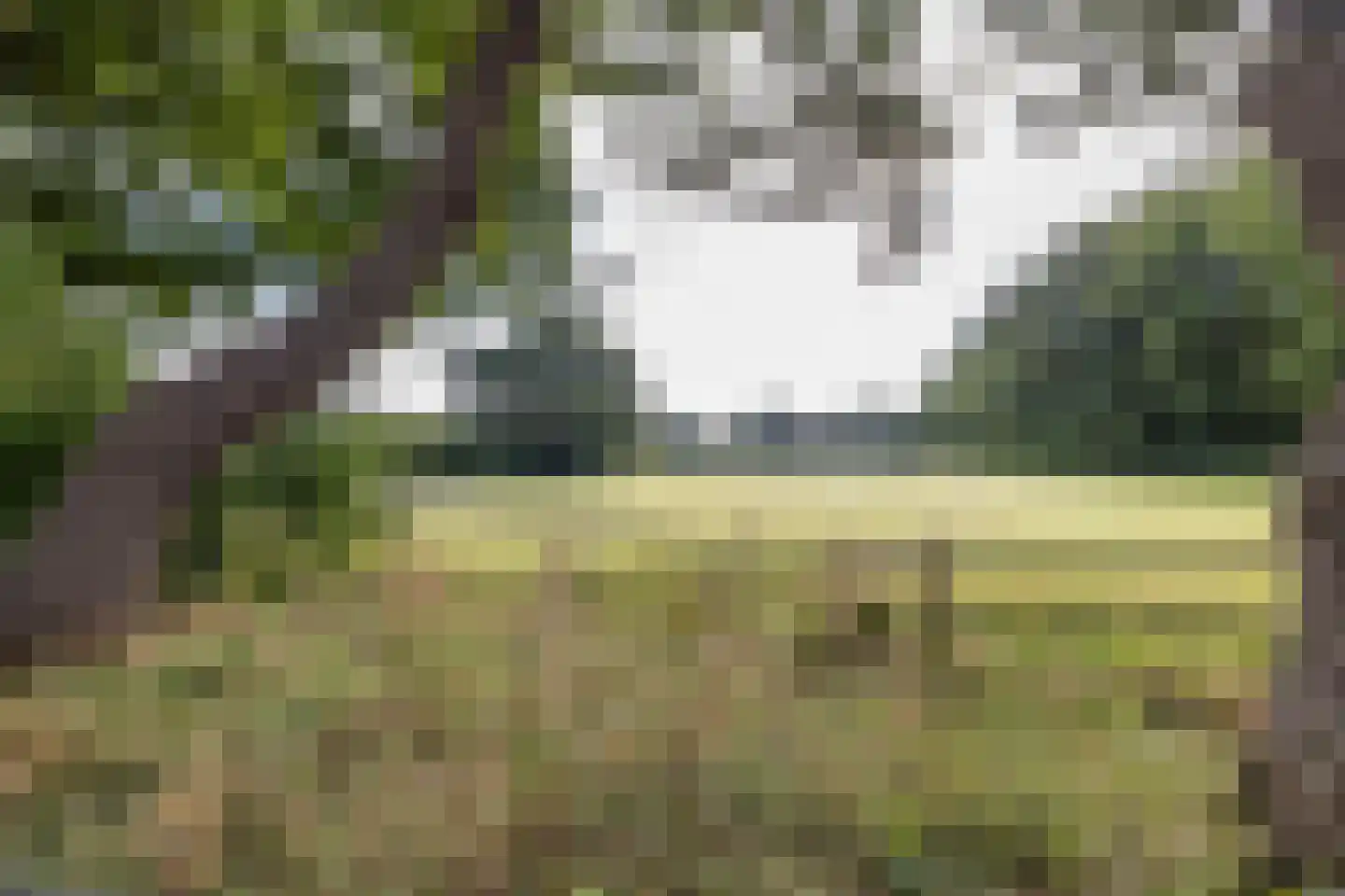 Veenweg 3 Vries thumbnail 83