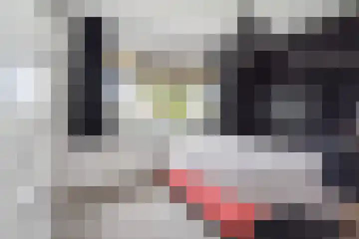 Veenweg 30 Nootdorp thumbnail 15