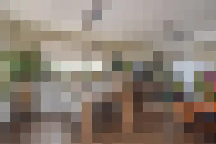 Veenweg 30 Nootdorp thumbnail 17