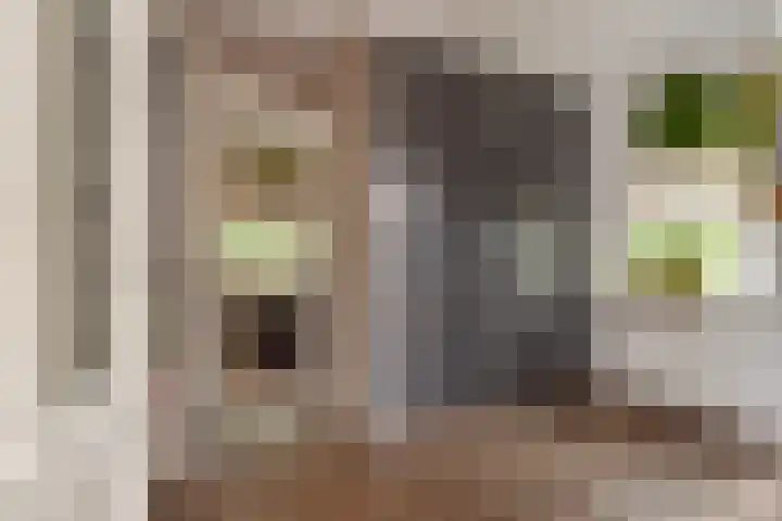 Veenweg 30 Nootdorp thumbnail 31