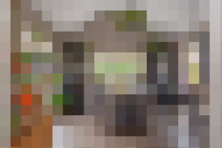 Veenweg 30 Nootdorp thumbnail 32