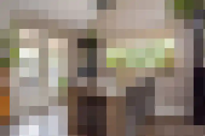 Veenweg 30 Nootdorp thumbnail 33