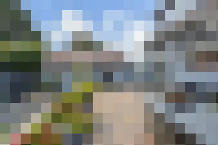 Veenweg 30 Nootdorp thumbnail 4