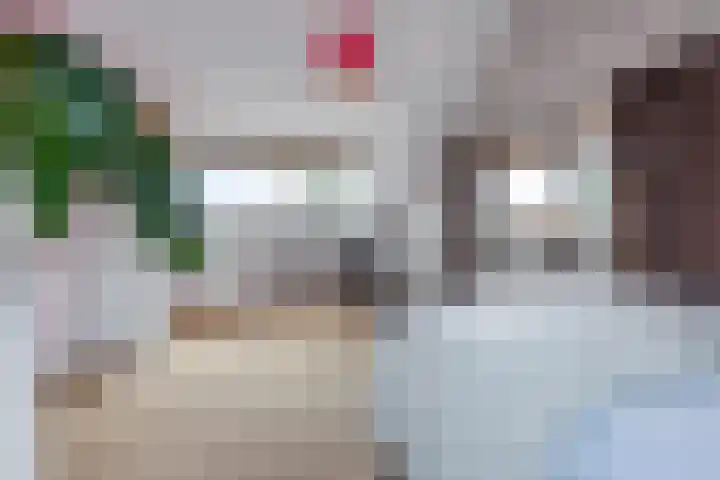 Veenweg 30 Nootdorp thumbnail 40