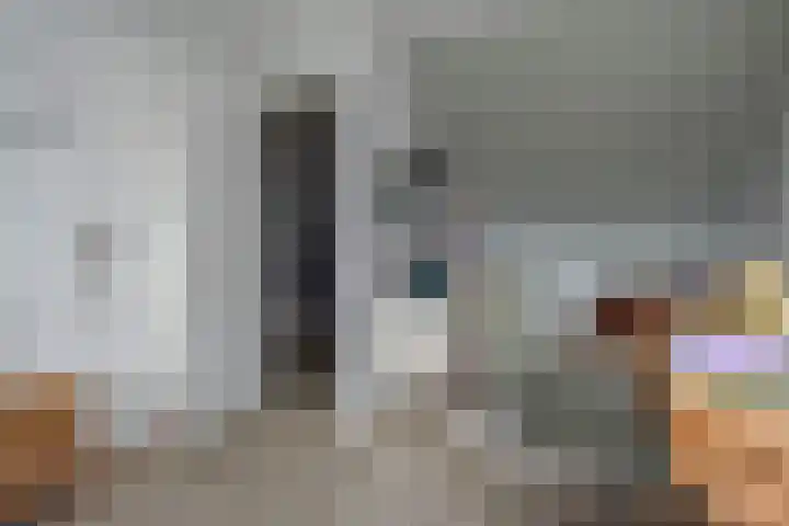 Veenweg 30 Nootdorp thumbnail 47