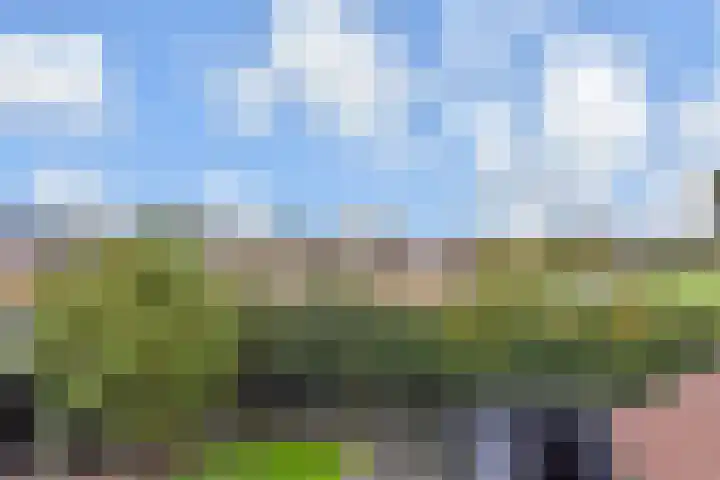 Veenweg 30 Nootdorp thumbnail 49