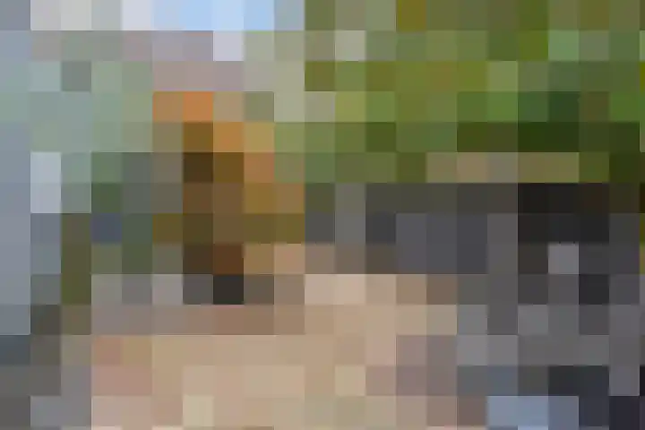 Veenweg 30 Nootdorp thumbnail 54