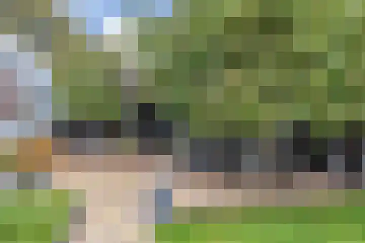 Veenweg 30 Nootdorp thumbnail 55