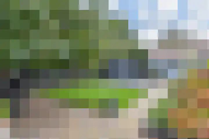 Veenweg 30 Nootdorp thumbnail 56