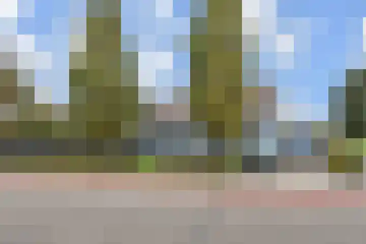 Veenweg 30 Nootdorp thumbnail 6