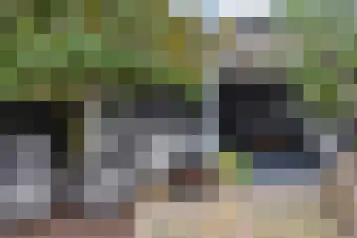 Veenweg 30 Nootdorp thumbnail 60