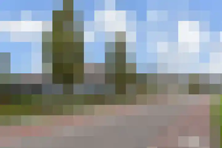 Veenweg 30 Nootdorp thumbnail 65