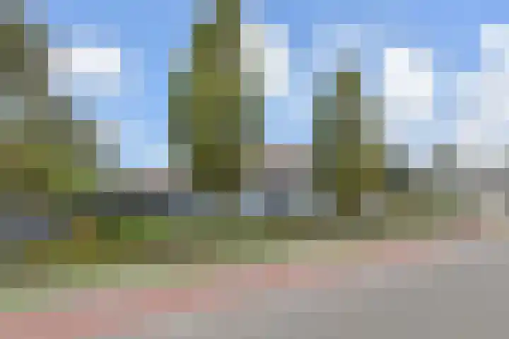 Veenweg 30 Nootdorp thumbnail 66