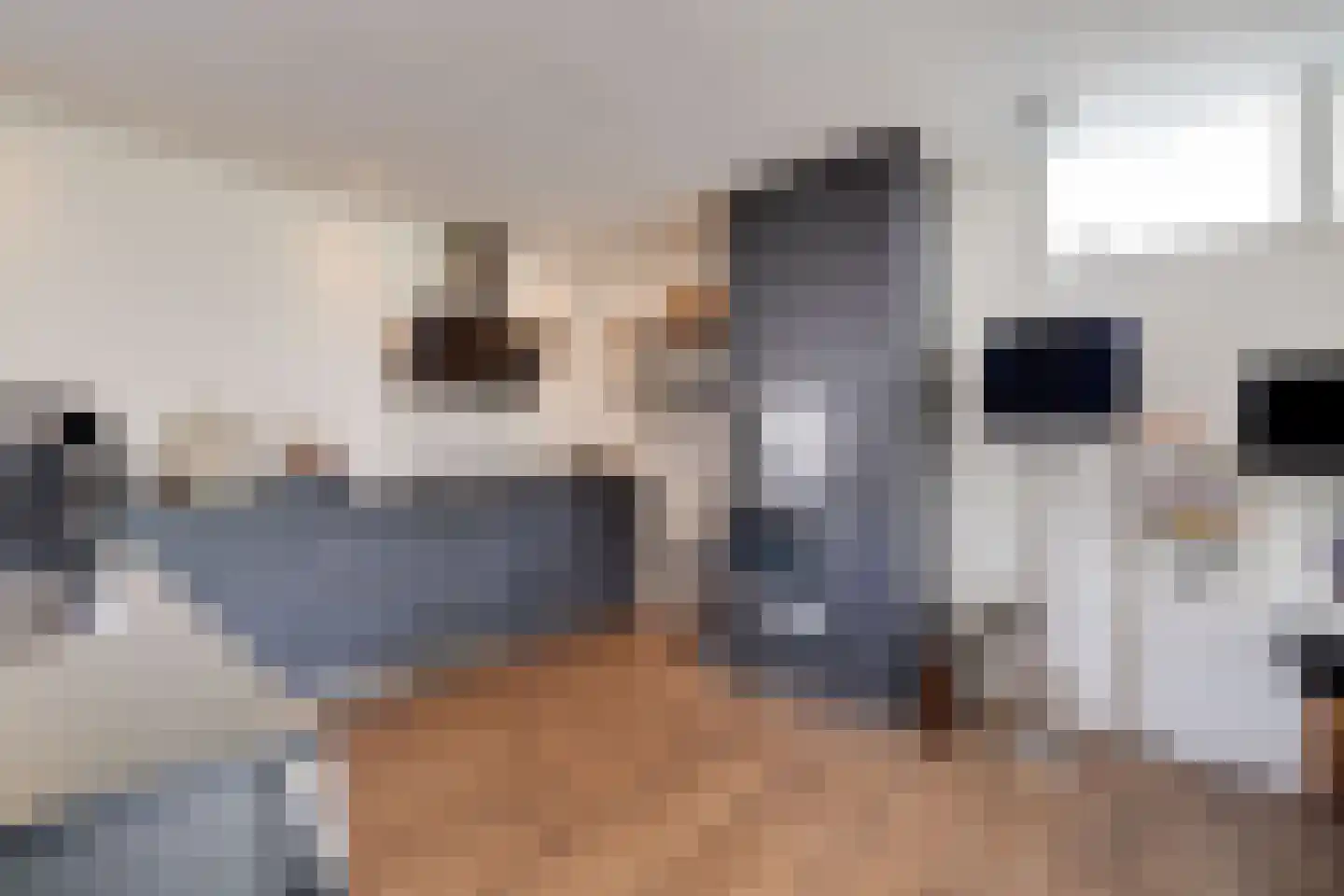 Veenweg 32 Apeldoorn thumbnail 13