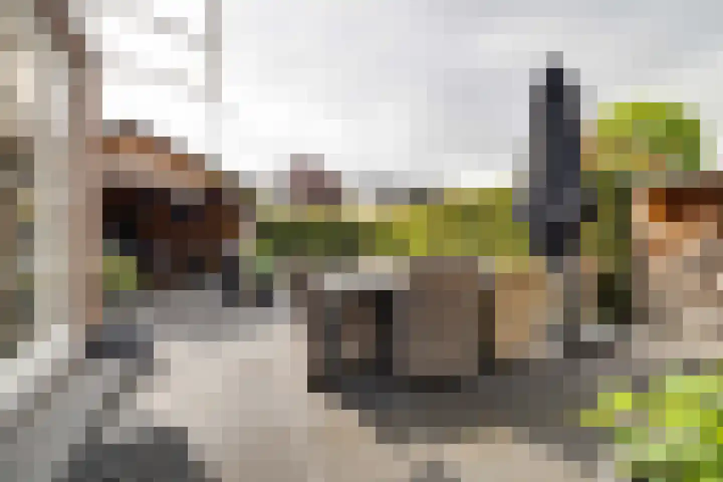 Veenweg 32 Apeldoorn thumbnail 31