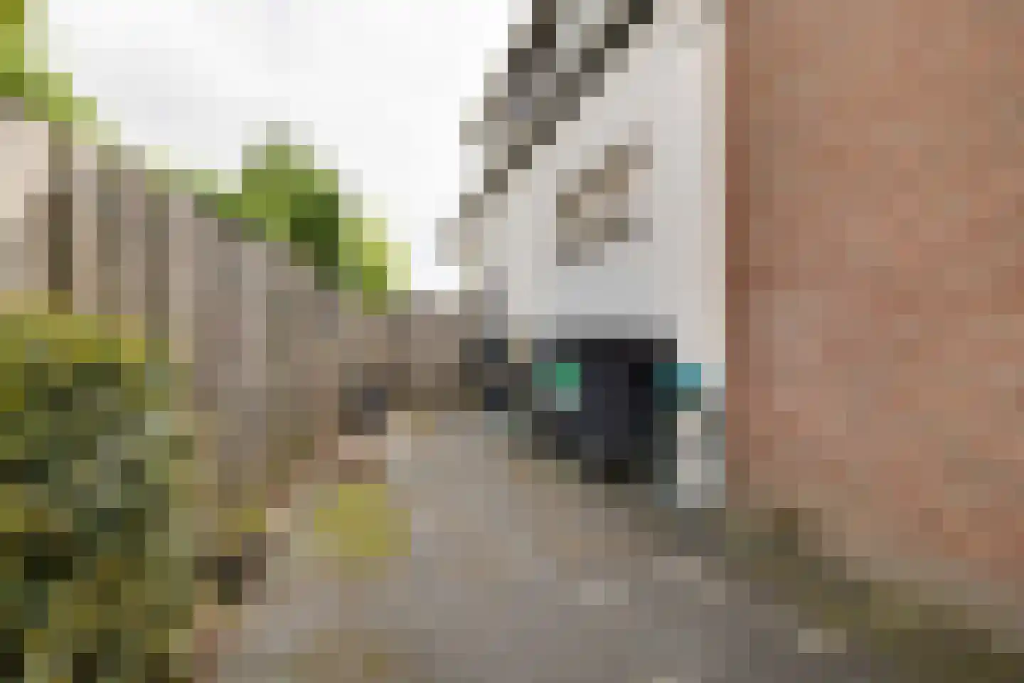 Veenweg 32 Apeldoorn thumbnail 35