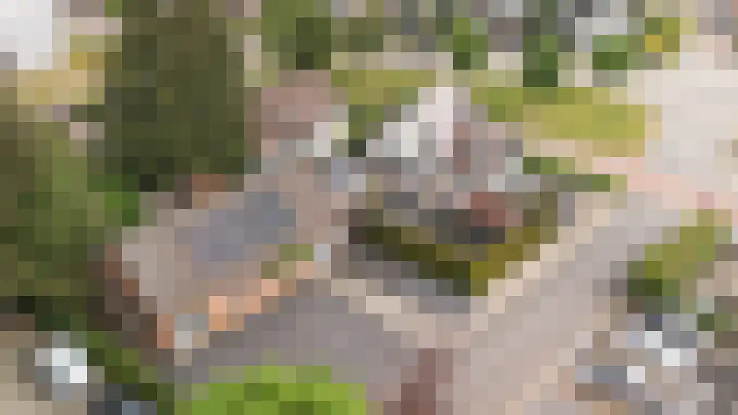 Veenweg 32 Apeldoorn thumbnail 49