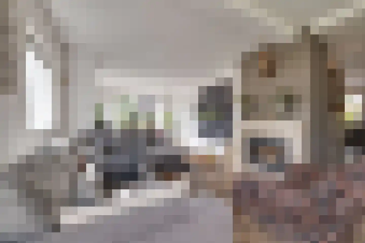 Veenweg 32 Apeldoorn thumbnail 5