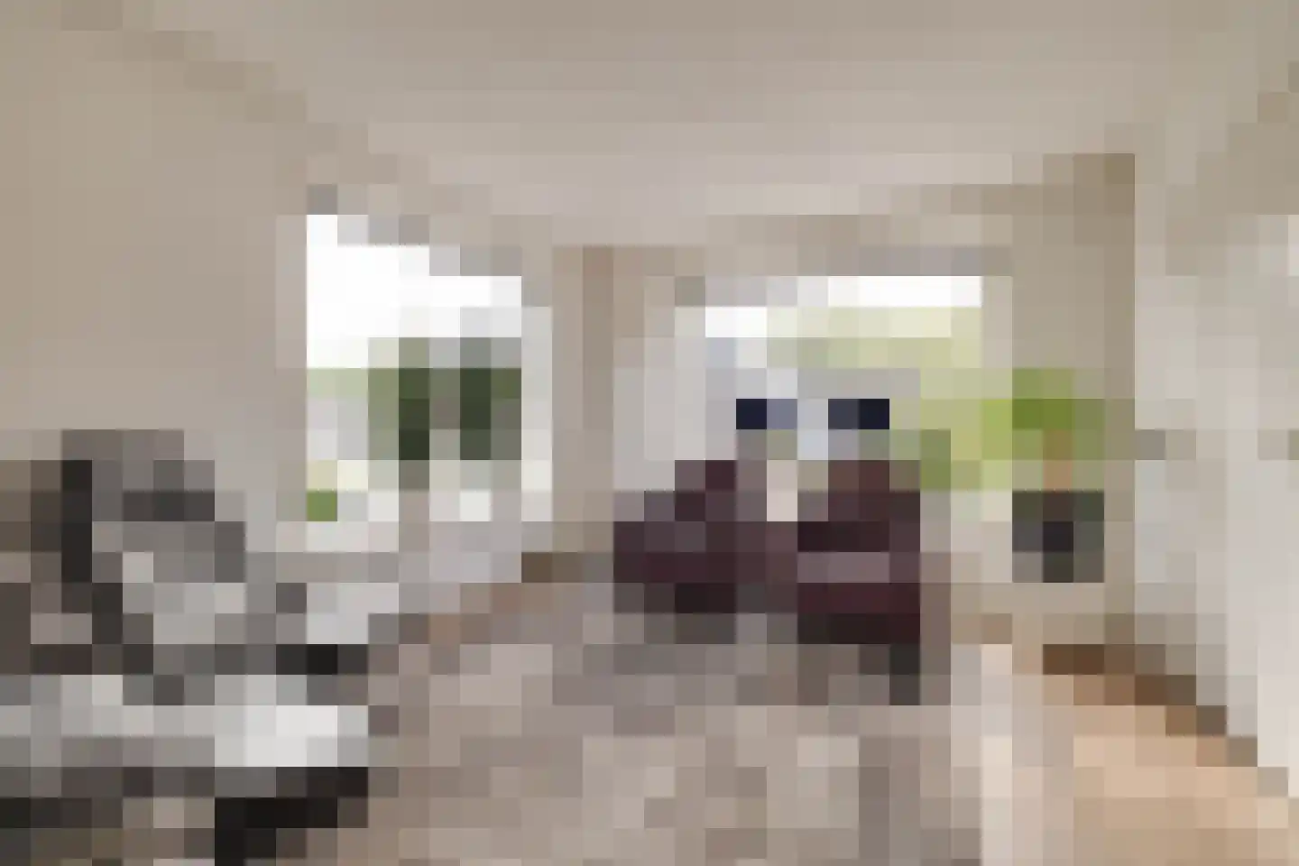 Veenweg 32 Apeldoorn thumbnail 6