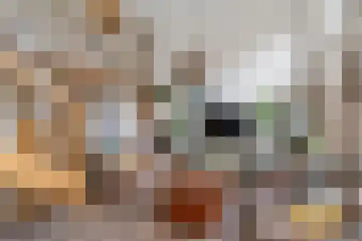 Veenweg 34 b Nootdorp thumbnail 14