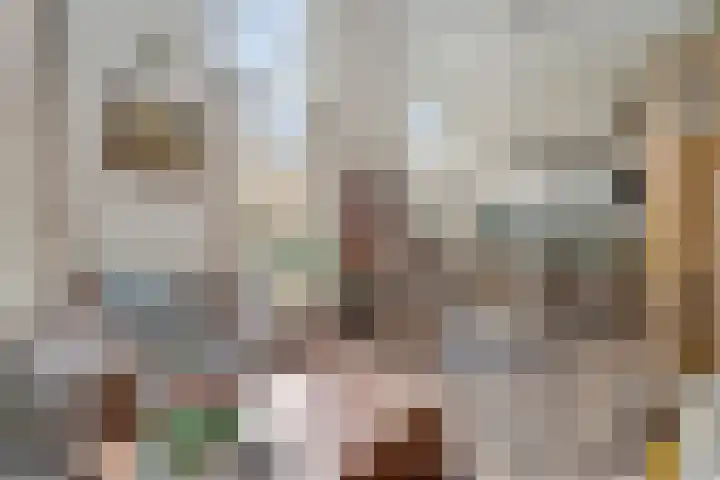 Veenweg 34 b Nootdorp thumbnail 17