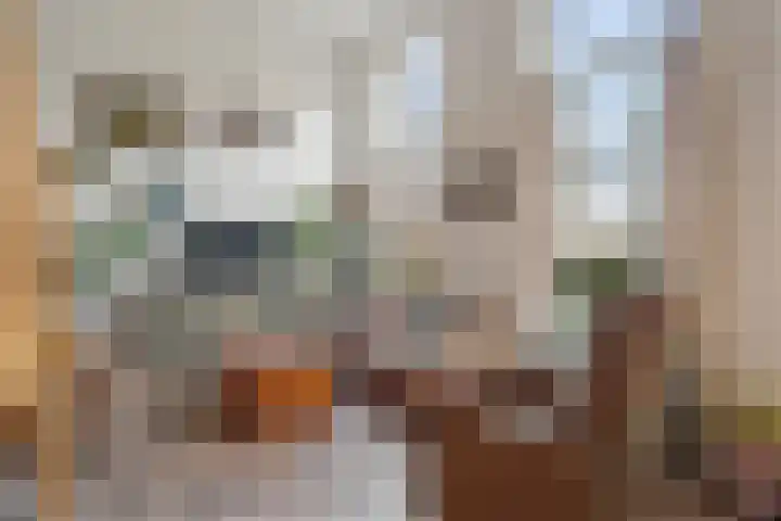 Veenweg 34 b Nootdorp foto 2