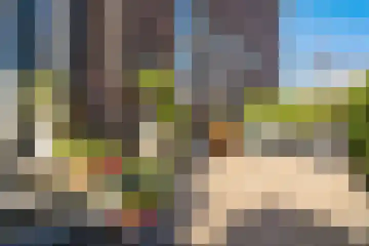 Veenweg 34 b Nootdorp thumbnail 36