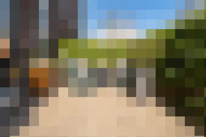 Veenweg 34 b Nootdorp thumbnail 37