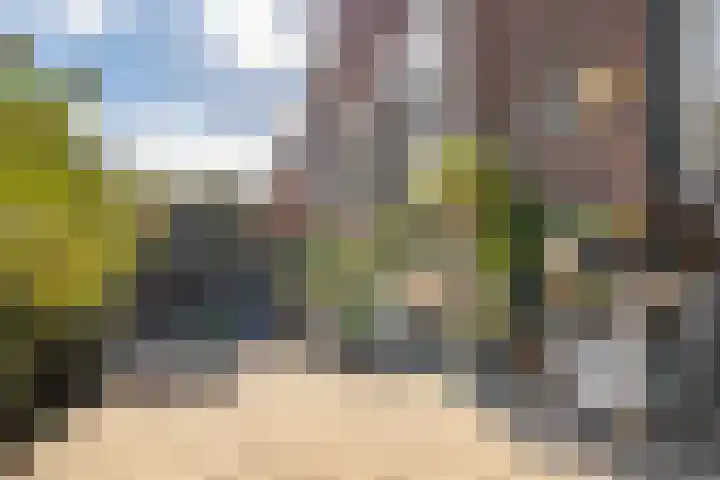 Veenweg 34 b Nootdorp thumbnail 39