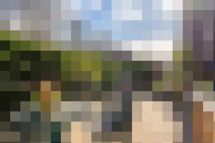 Veenweg 34 b Nootdorp thumbnail 40