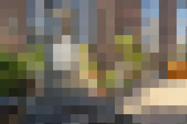 Veenweg 34 b Nootdorp thumbnail 41