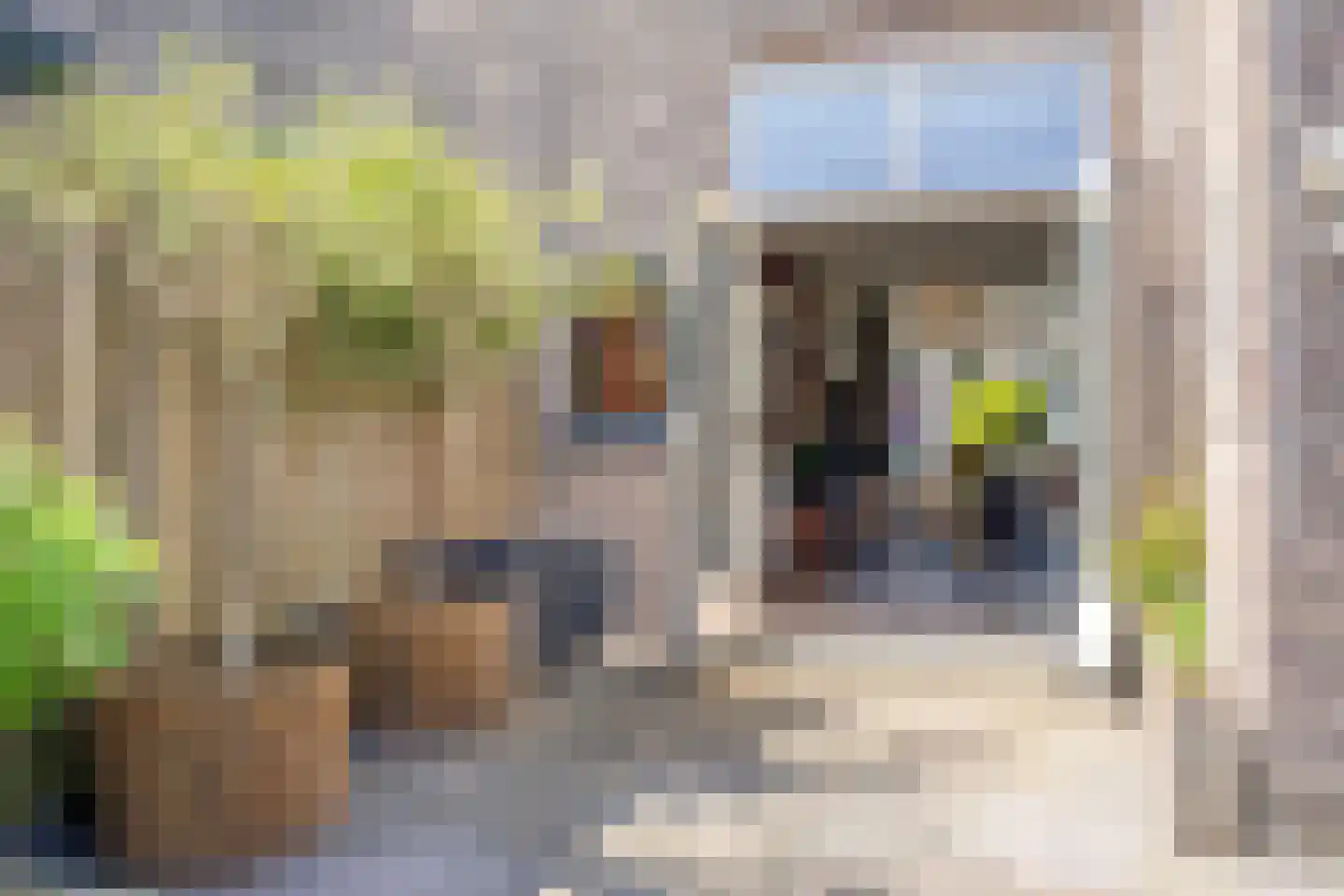 Veenweg 35 Deventer thumbnail 32
