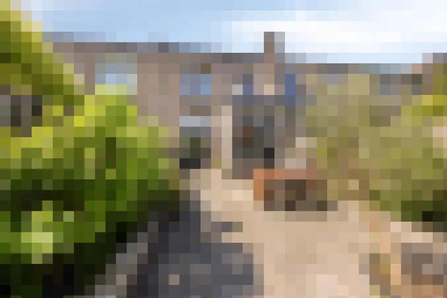 Veenweg 35 Deventer thumbnail 33