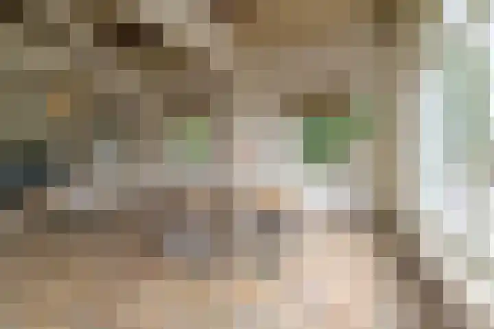 Veenweg 4 Beek thumbnail 12