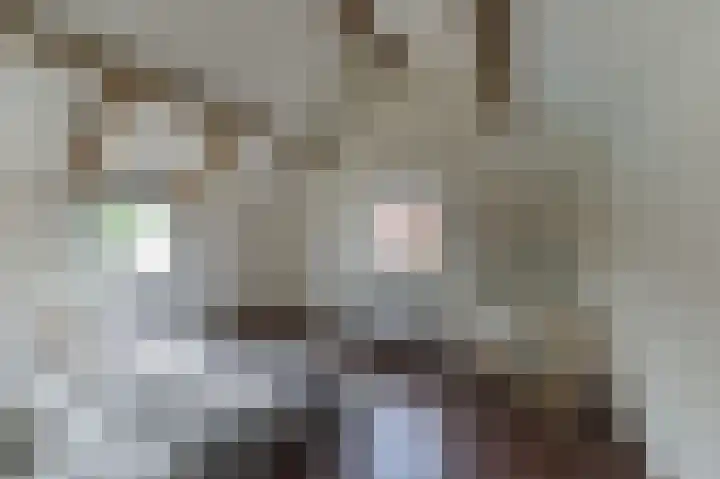 Veenweg 4 Beek thumbnail 24