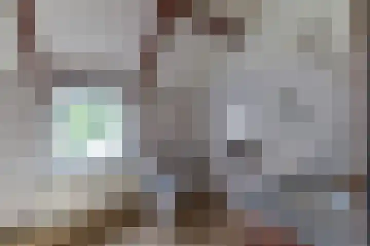 Veenweg 4 Beek thumbnail 28