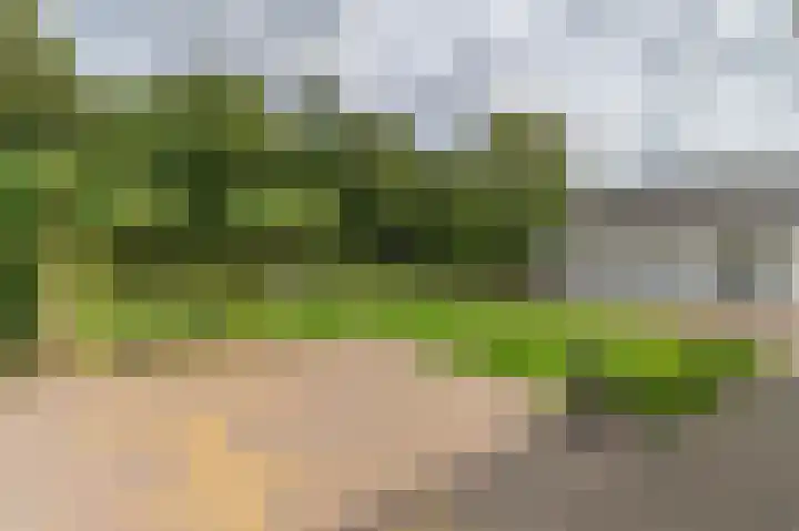 Veenweg 4 Beek thumbnail 4