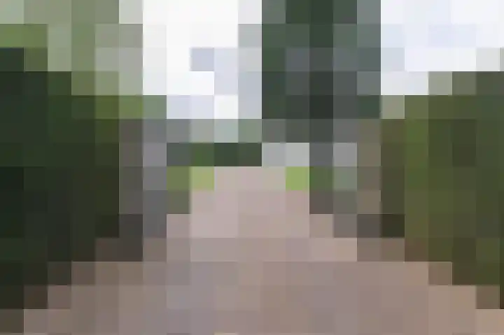 Veenweg 4 Beek thumbnail 5