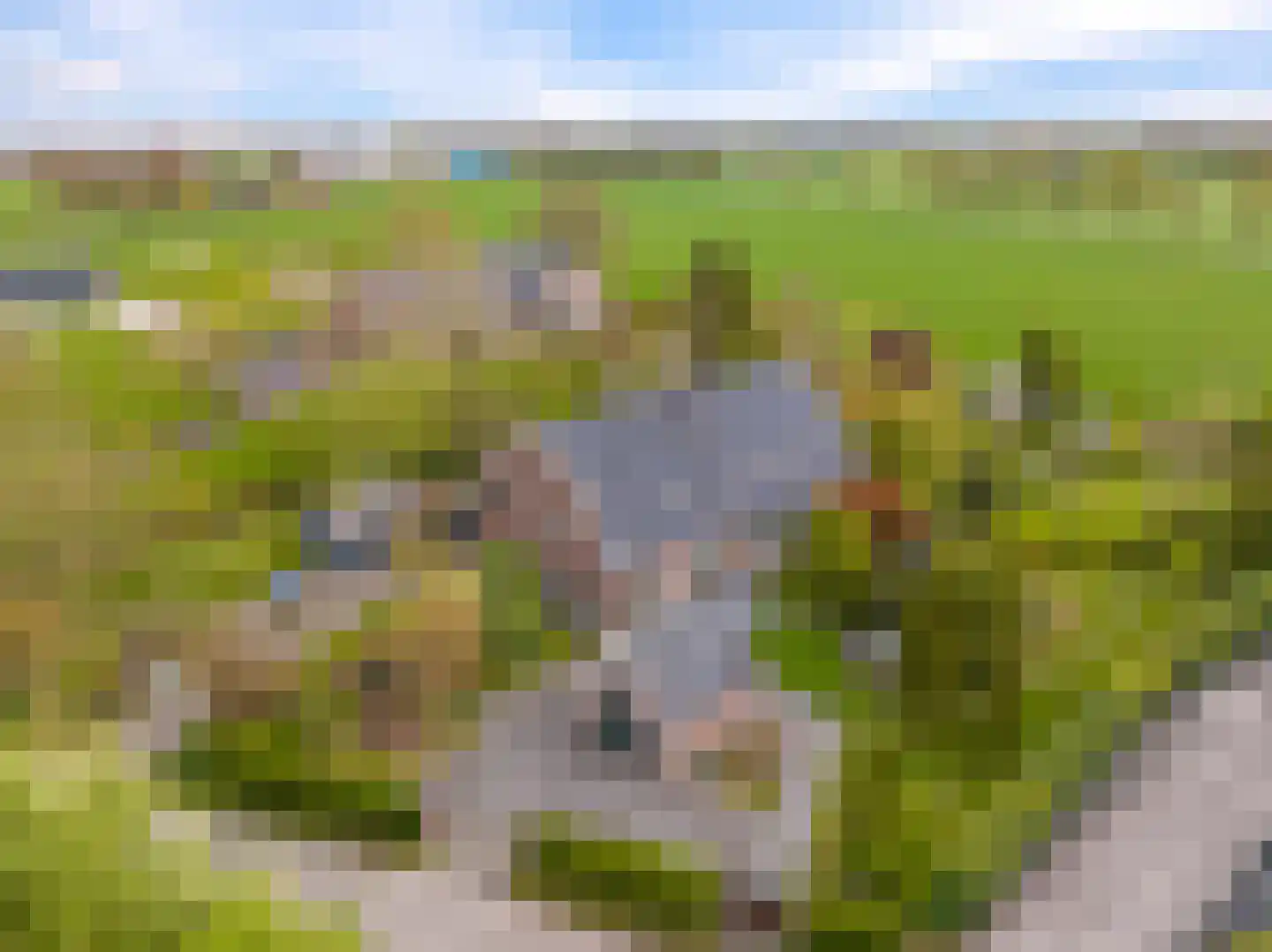 Veenweg 4 Drempt
