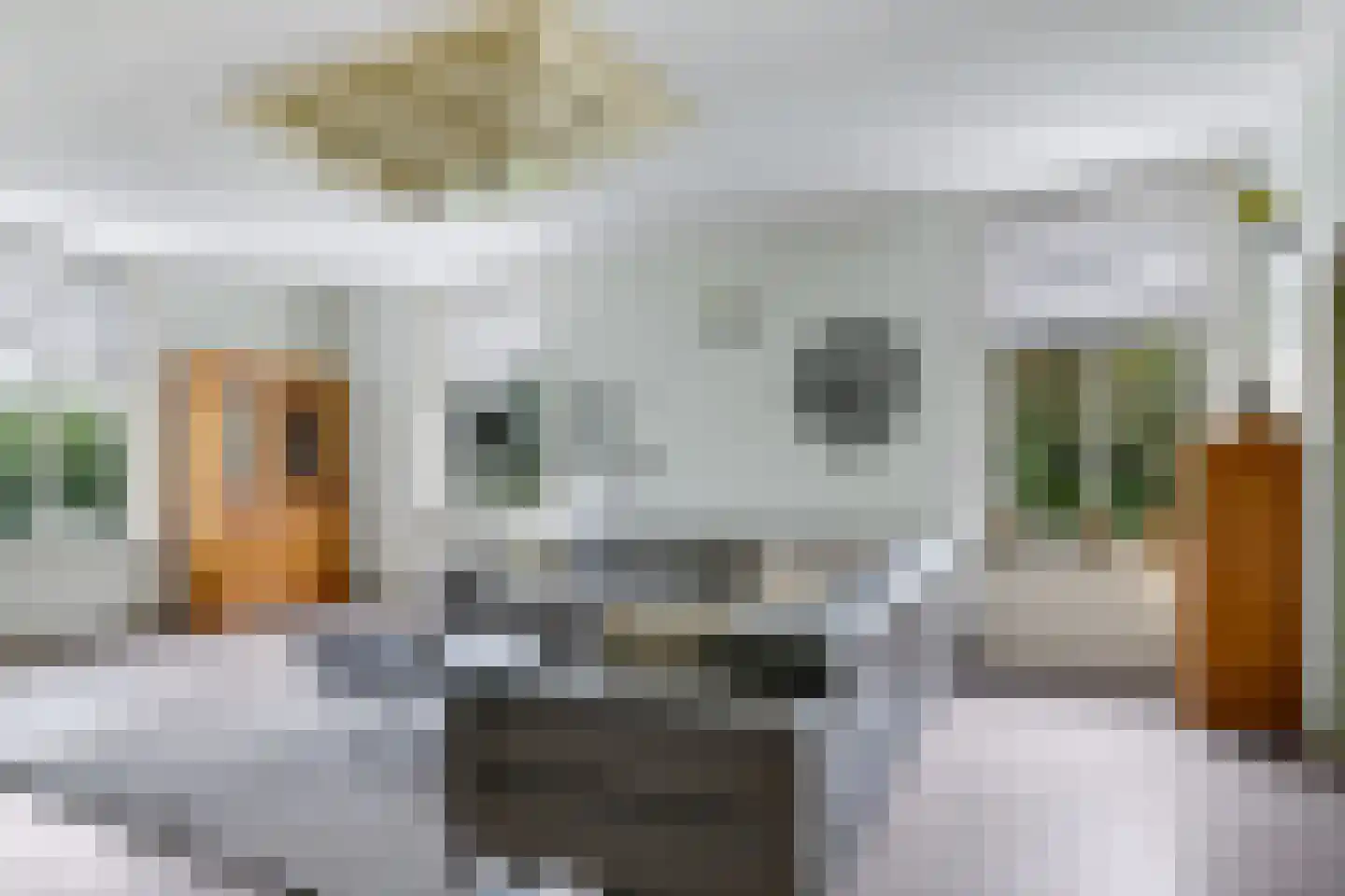 Veenweg 4 Drempt thumbnail 15