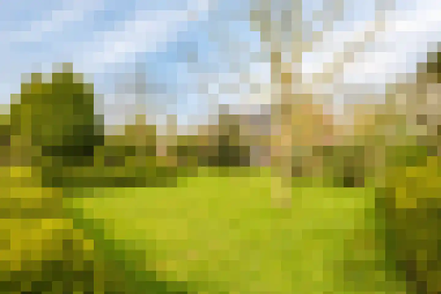 Veenweg 4 Drempt foto 2