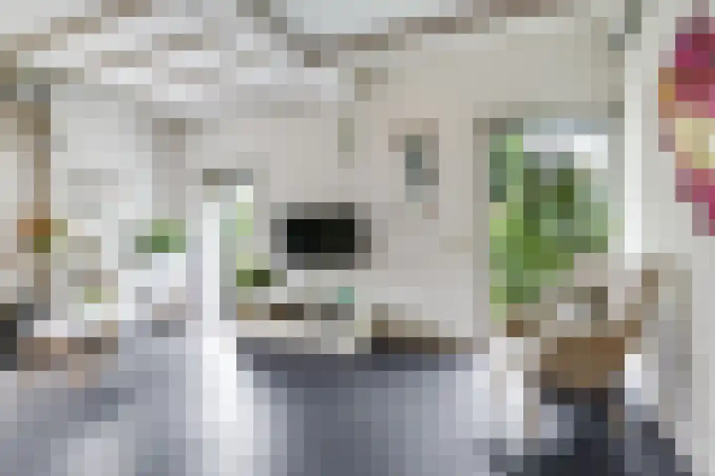 Veenweg 4 Drempt thumbnail 20